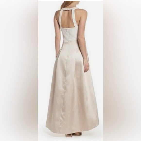 Eliza J High/Low Gown (size 4) - Picture 2 of 16